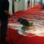 Revigoreaza-ti mocheta: Beneficiile curatarii profesionale a mochetelor